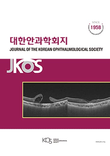 JKOS_수포각막병증에서의 심층각막내피이식(DLEK)의 치료성적