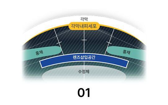 sec8이미지